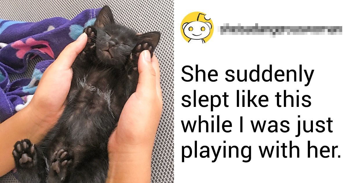 Reddit Users Share 15+ Sweet Things That Happened to Them Last Month