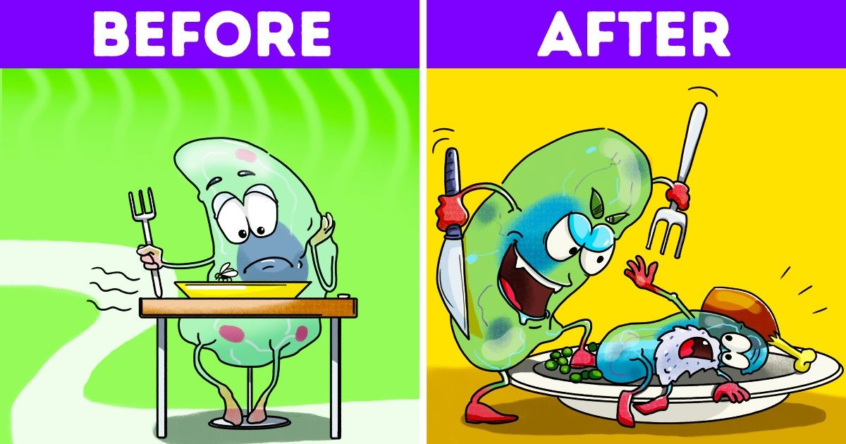 A Japanese Scientist Explained How Fasting Prolongs Youth and Won the Nobel Prize for His Work