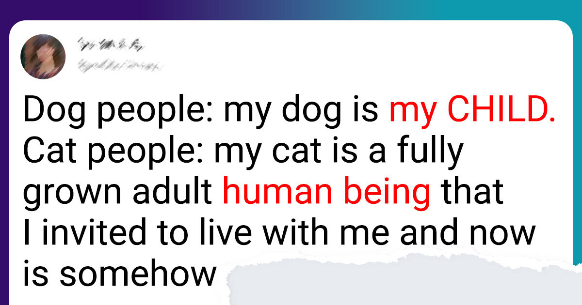 22 Tweets That Perfectly Sum Up the Difference Between Cat and Dog Lovers 22 Tweets That Perfectly Sum Up the Difference Between Cat and Dog Lovers