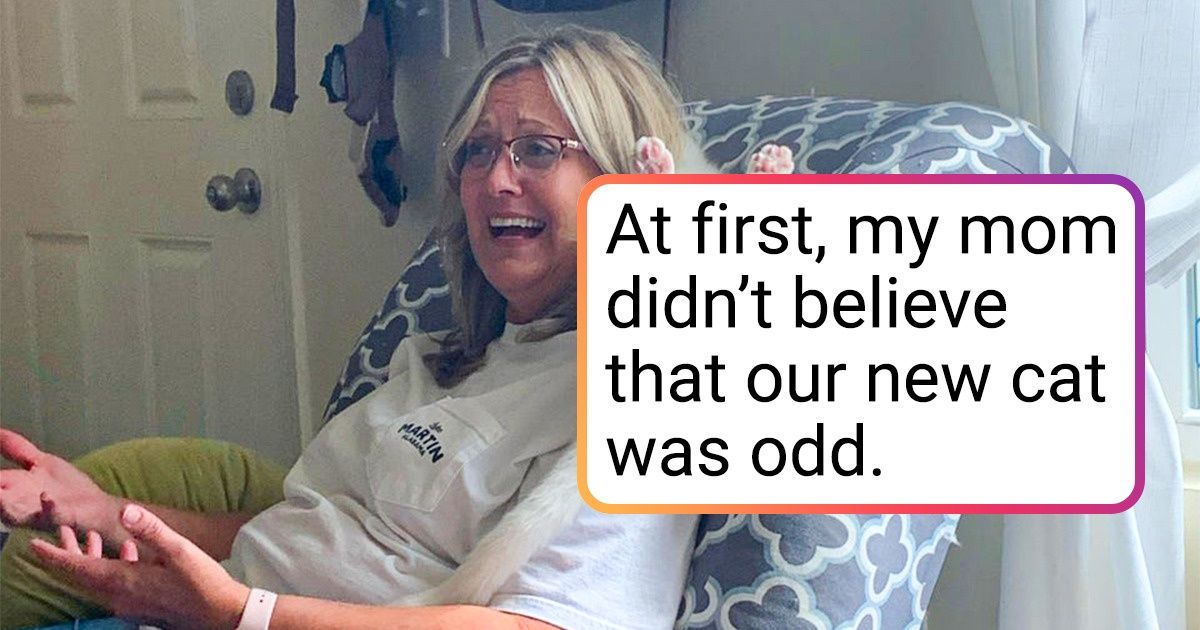 20+ Examples That Prove If You Get a Cat, Your Life Will Never Be the Same 20+ Examples That Prove If You Get a Cat, Your Life Will Never Be the Same