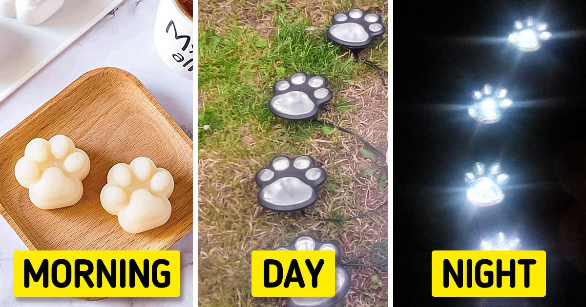 7 Adorable Amazon Products Inspired by Animal Paws