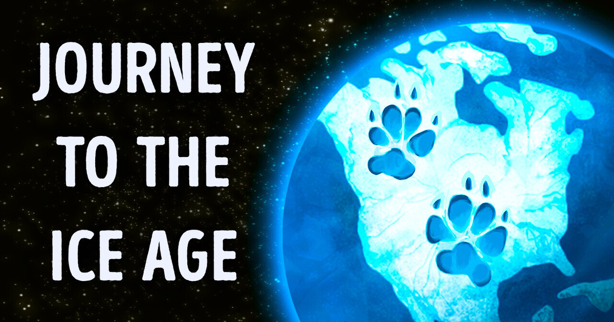 What If You Lived One Day in the Ice Age What If You Lived One Day in the Ice Age