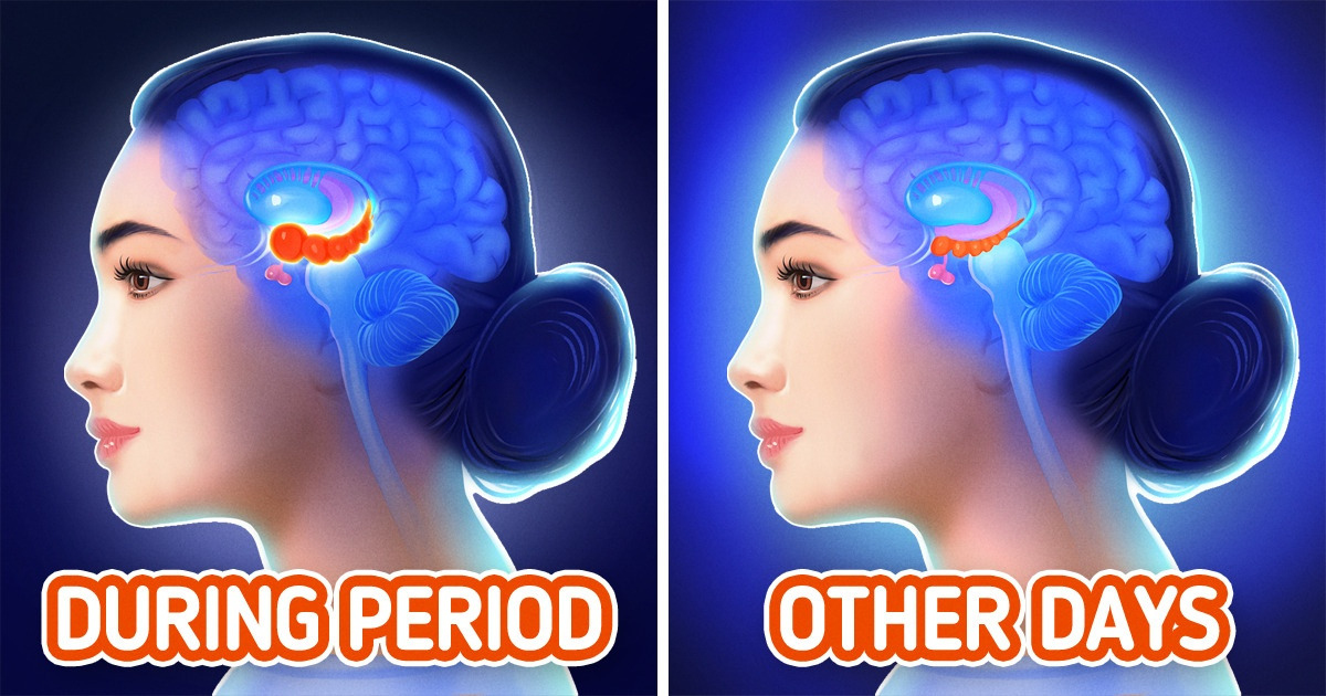 What Does the Science Say About 'Period Brain'?