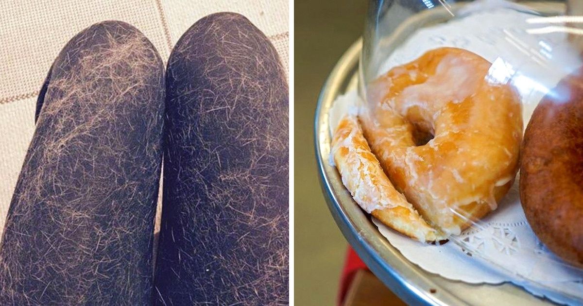24 Outrageous Photos That Are Like a Red Rag to a Bull