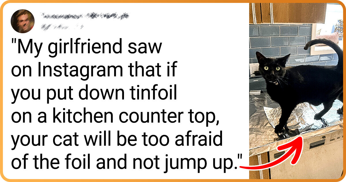 20+ Furry Ones That Are Ready for Another Mischief