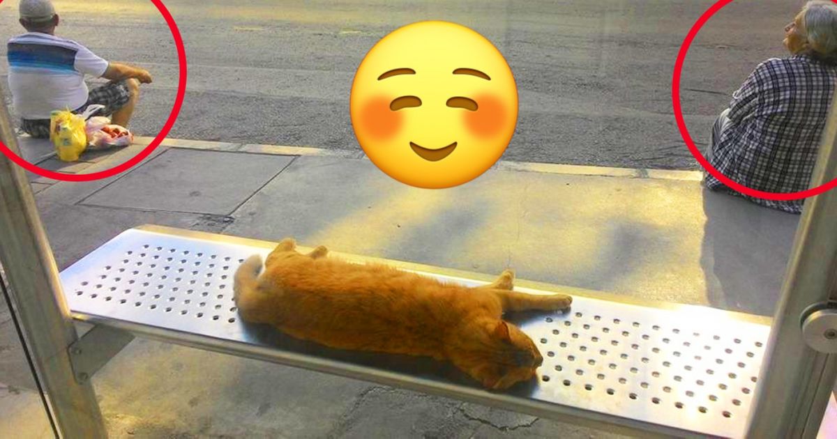 20+ Photos That Show the Best of What of Our World Has to Offer