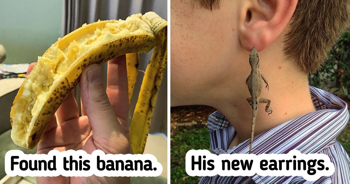 15 Times Kids Made Adults Laugh Like Crazy