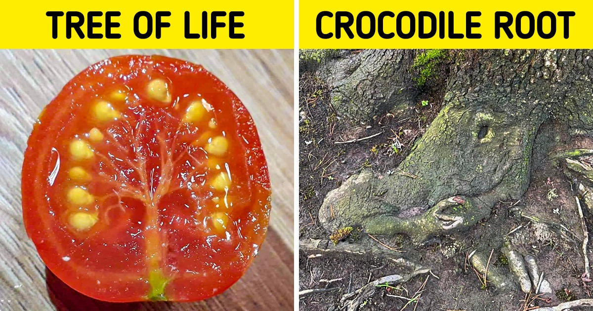 15 Reminders That Nature Is Still the Most Wonderful Canvas Around Us