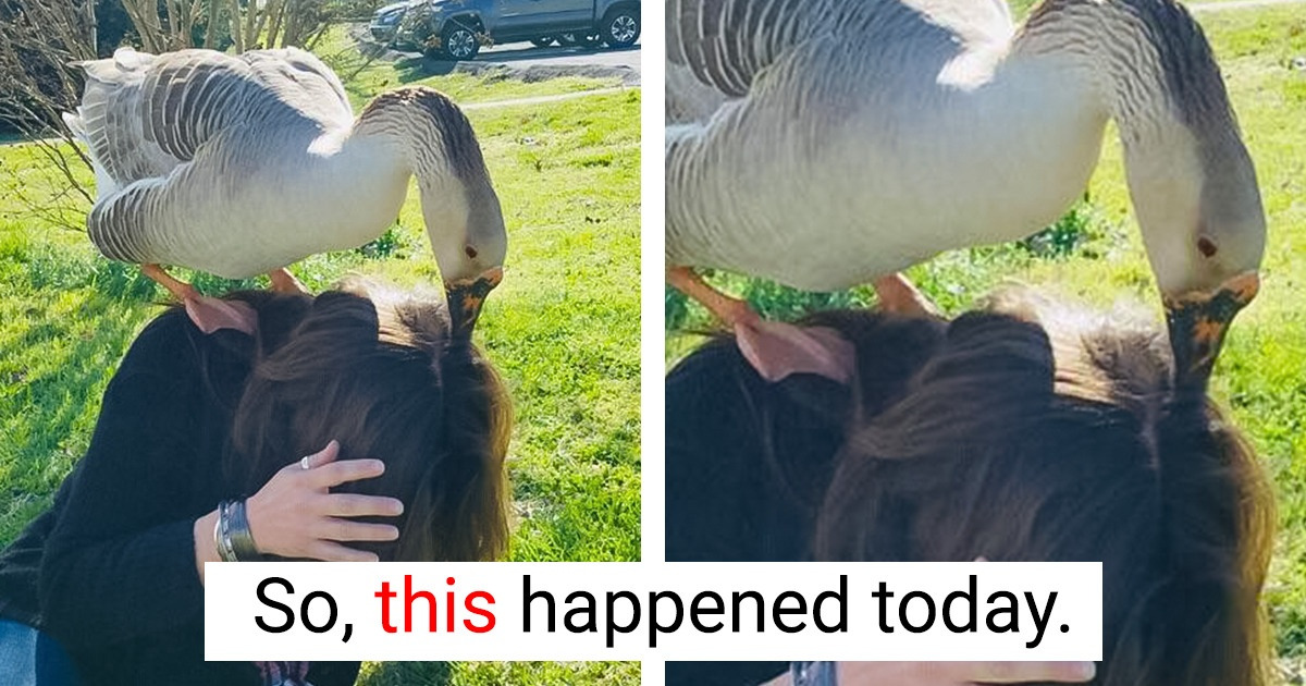 15 Times the Universe Decided to Strike People With a Little Show