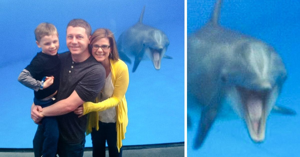 17 Pics That Prove Animals Can Turn Any Photo Into a Smiley Mess