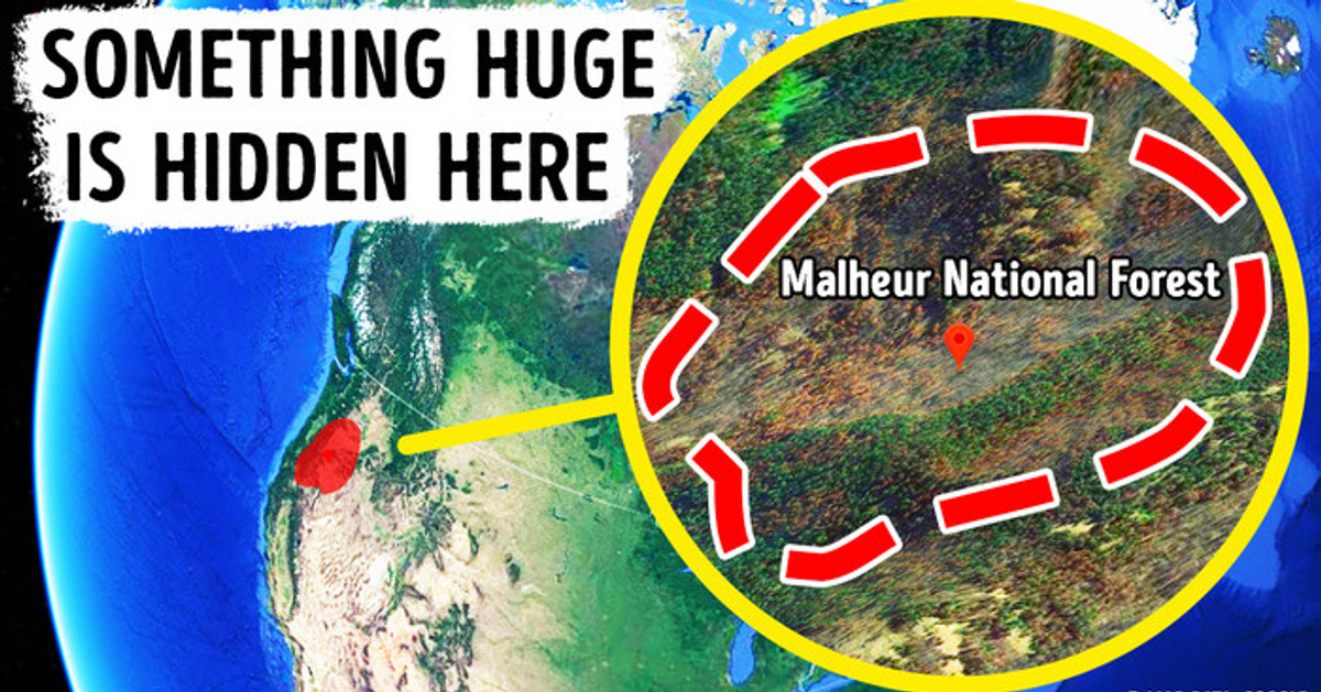 Something Bigger Than Megalodon Is Hiding in the Woods