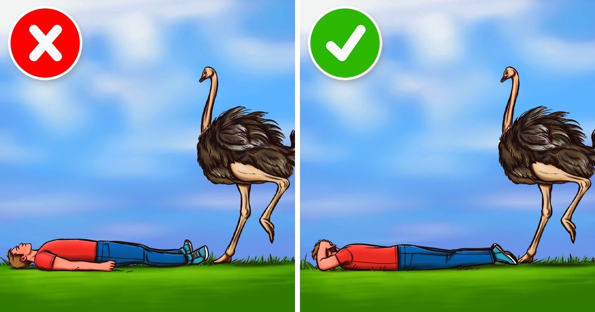 10 Survival Hacks That Work Like a Patronus Charm