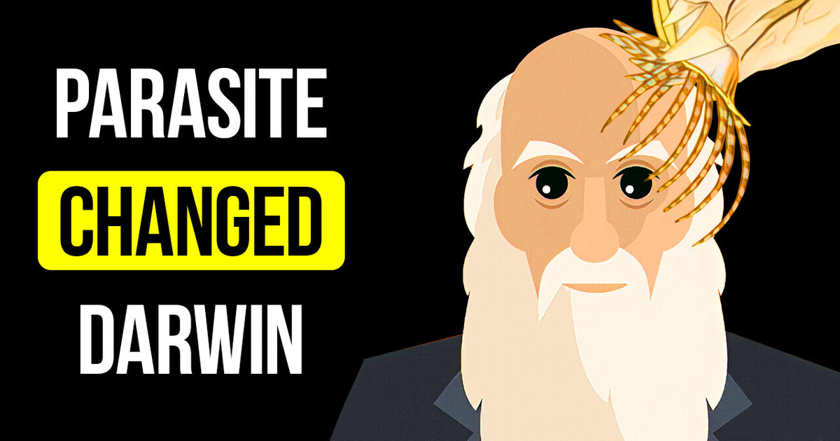 Darwin Hated These Creatures Most, But Why Darwin Hated These Creatures Most, But Why