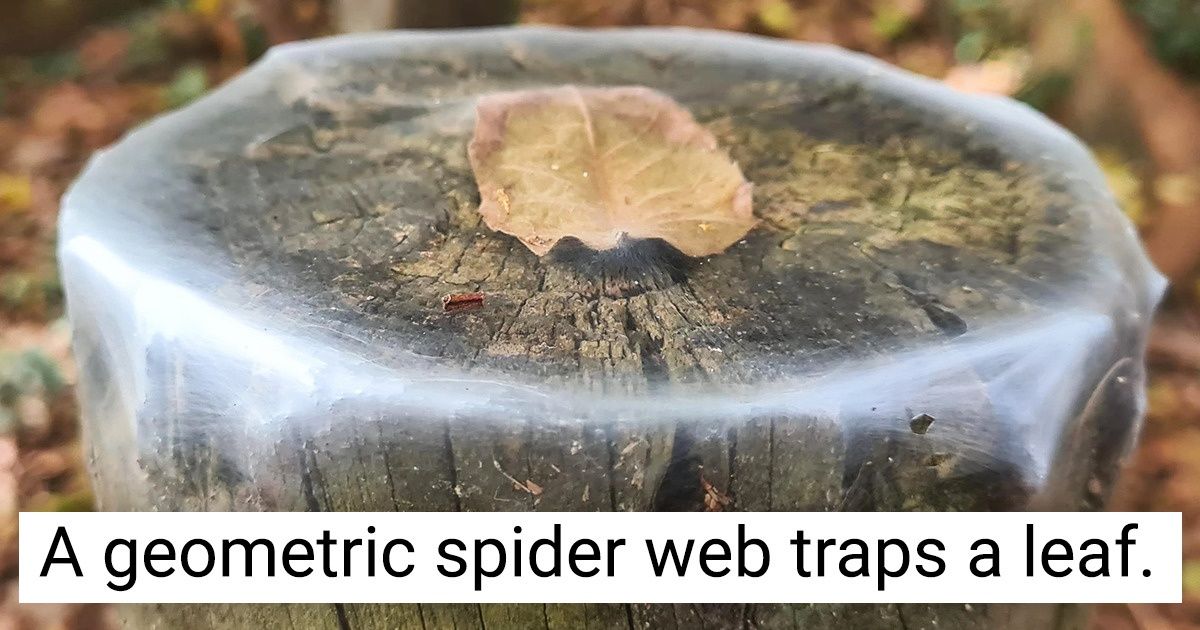 20 Times Nature Created Magic Without Any Modern Science