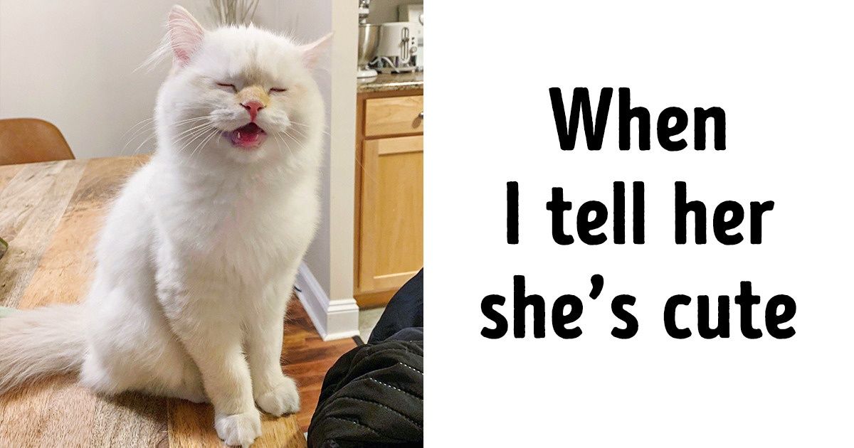 20 Photos That Will Make Your Monday Brighter 20 Photos That Will Make Your Monday Brighter