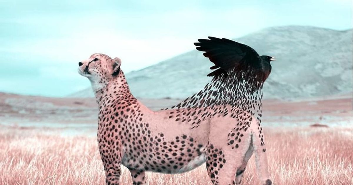 10 Animals That Didn’t Exist Before a 20-Year-Old Artist From France Created Them 10 Animals That Didn’t Exist Before a 20-Year-Old Artist From France Created Them