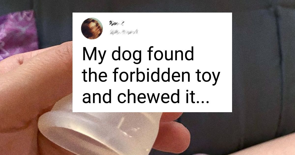 15 Photos That Seem to Have Even More Drama Than a Brazilian Soap Opera