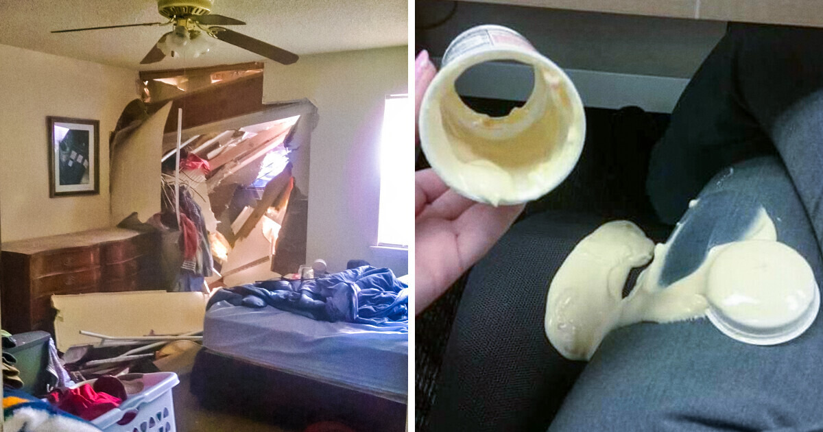 12 Photos That Are the Epitome of a Crappy Day
