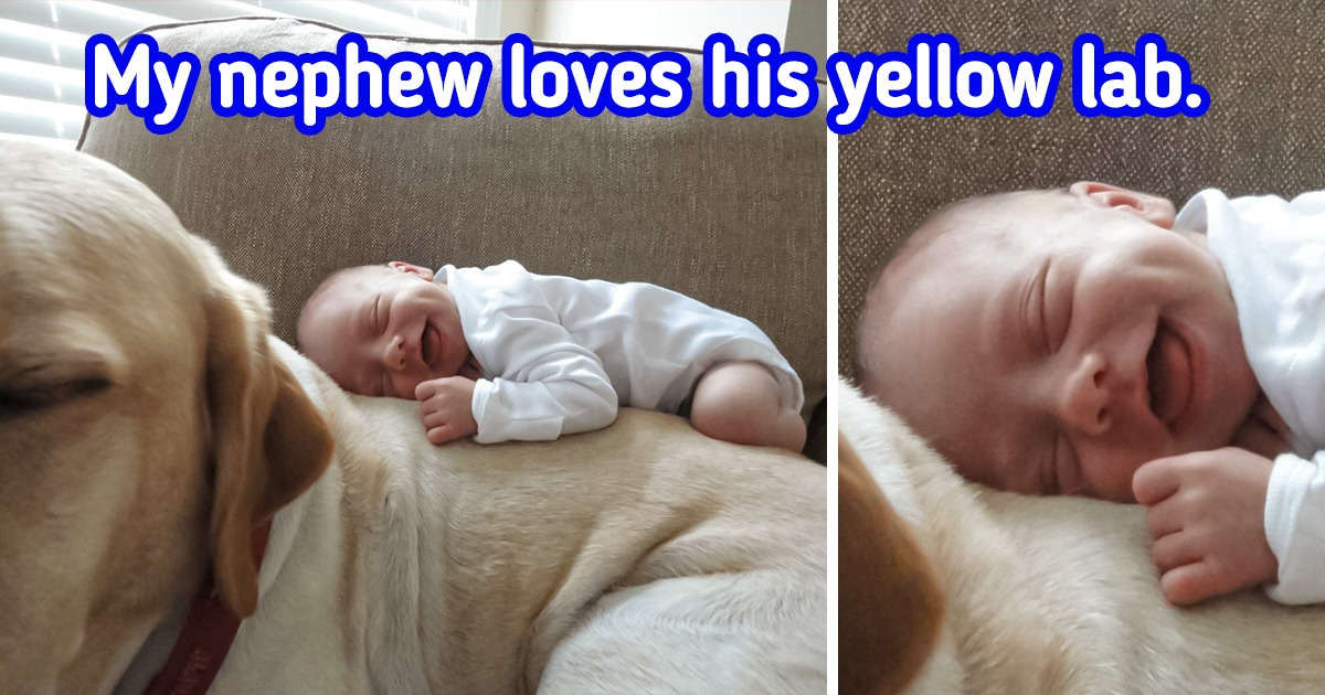 15 Photos That Can Be Beams of Light on a Dark Day