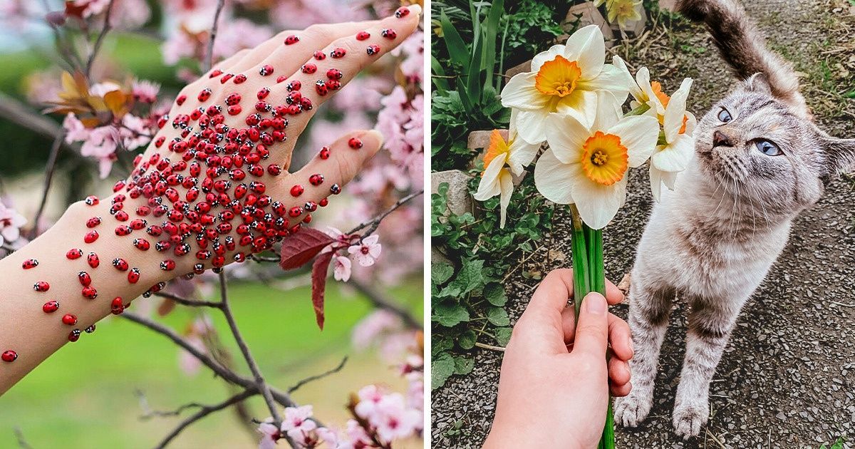 People Show What Spring Looks Like Around the World People Show What Spring Looks Like Around the World