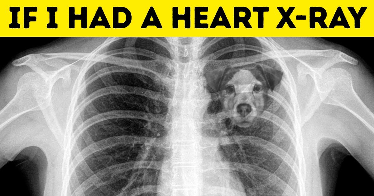 Scientists Explain Why Losing a Dog Feels Like Losing a Loved One Scientists Explain Why Losing a Dog Feels Like Losing a Loved One