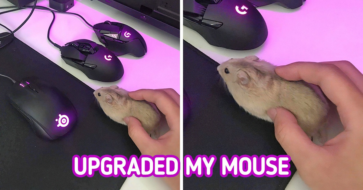 15 People Captured Things That Are Too Funny for Words