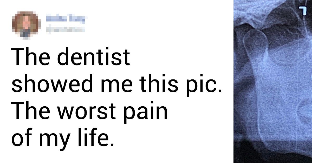 19 Photos That Prove Life Has Its Own Plans for Everything 19 Photos That Prove Life Has Its Own Plans for Everything
