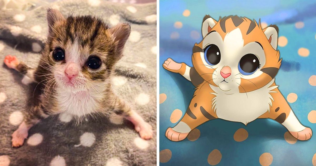An Artist Shows Us That All Pets Are Perfectly Adorable, Even With Their Unique Imperfections