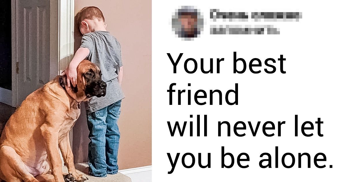 20+ Photos That Prove Our Pets Will Be With Us Through the Good Days and the Bad Ones 20+ Photos That Prove Our Pets Will Be With Us Through the Good Days and the Bad Ones