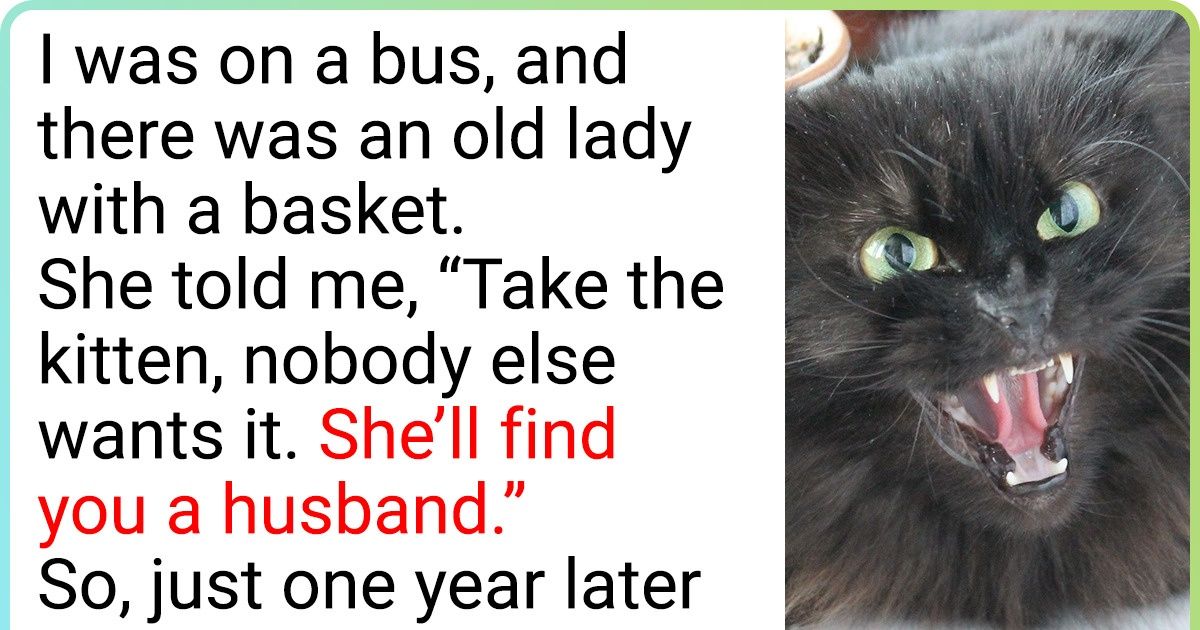 20+ People That Adopted an Ordinary Pet Instead of a Purebred One and Won the Jackpot 20+ People That Adopted an Ordinary Pet Instead of a Purebred One and Won the Jackpot