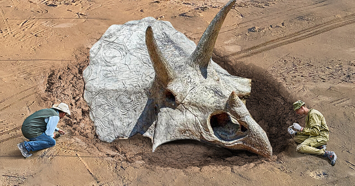 9 Strangest Things Ever Dug Out of the Ground 9 Strangest Things Ever Dug Out of the Ground