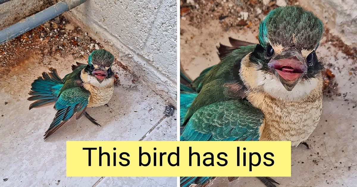 20 Pics That Prove Ordinary Things Can Surprise Us Again and Again