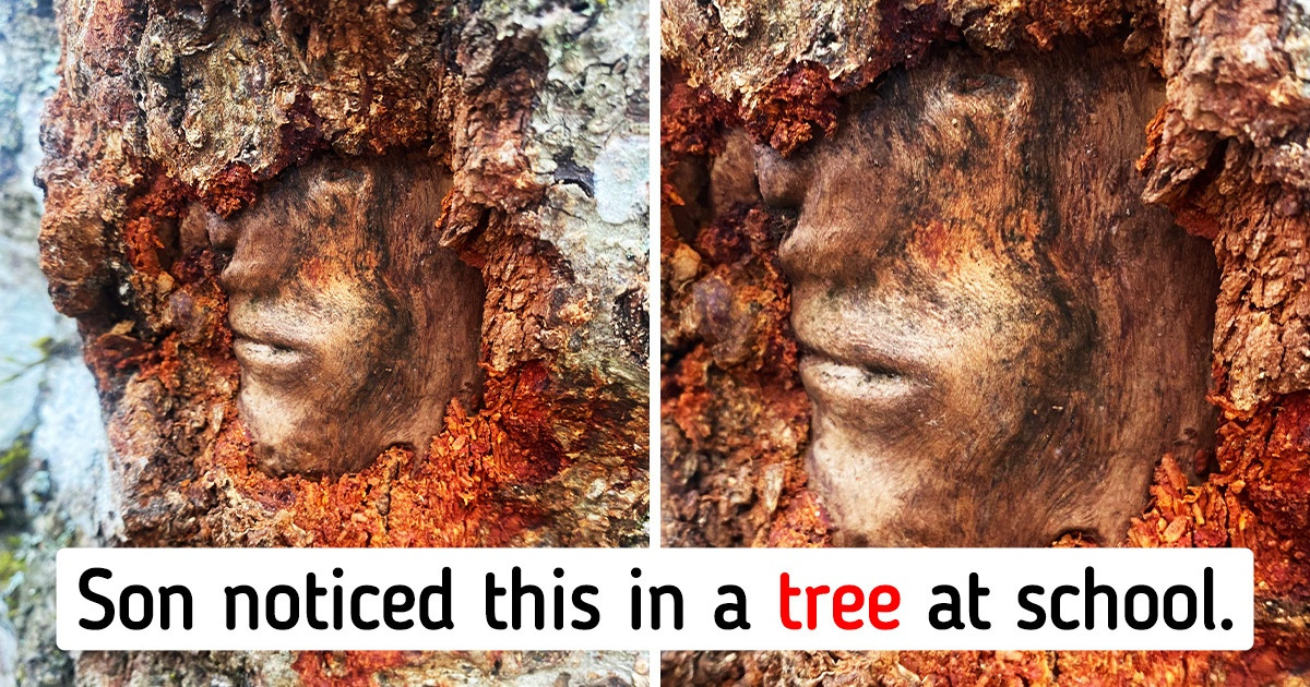 17 People Who Got Their Monthly Dose of Surprise in Just One Day