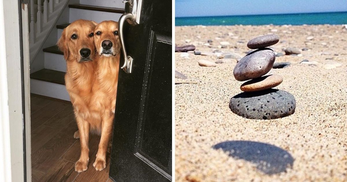 20 Misleading Photos That Might Leave You Dazed and Confused