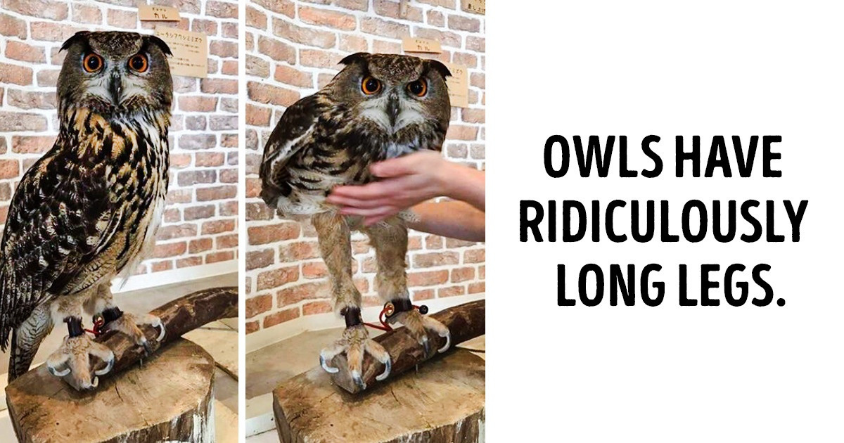 15+ Eye-Opening Photos That Explain How the World Works