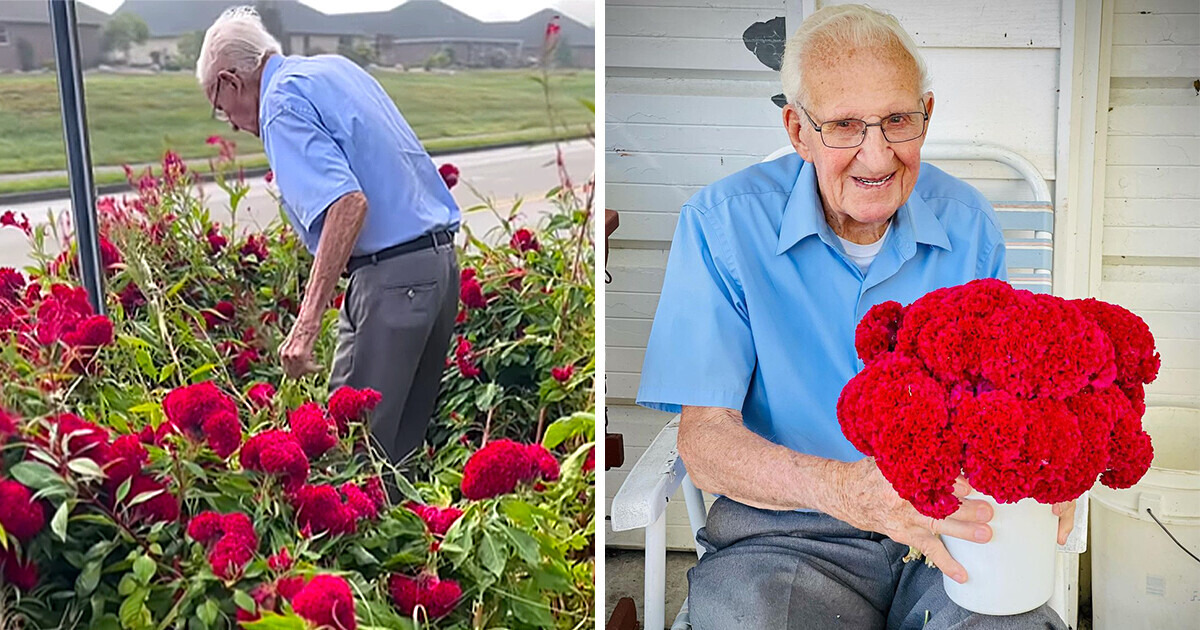 94-Year-Old Grandpa Grew All the Flowers for His Granddaughter to Celebrate a Special Occasion