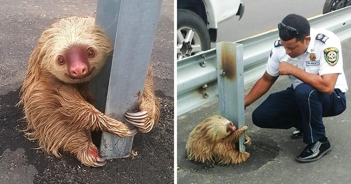 23 Gripping Photos That Prove It’s Humanity That Keeps This World Afloat