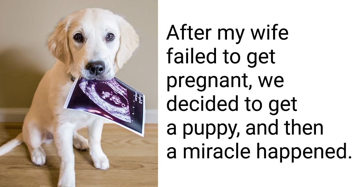 15 Photos That Will Kick-Start Your Day With Tons of Joy