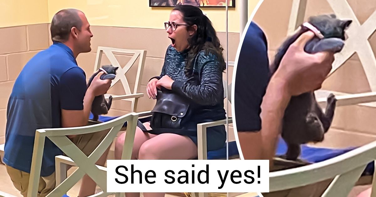 20 Photos That Can Give You Your Daily Dose of Warm Fuzzies 20 Photos That Can Give You Your Daily Dose of Warm Fuzzies