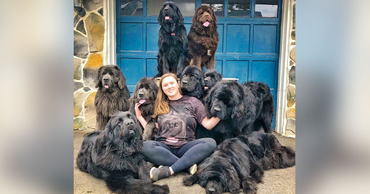 This Young Woman and Her 9 Dogs Visit Hospitalized People, Bringing Happiness to Those Who Need It Most This Young Woman and Her 9 Dogs Visit Hospitalized People, Bringing Happiness to Those Who Need It Most