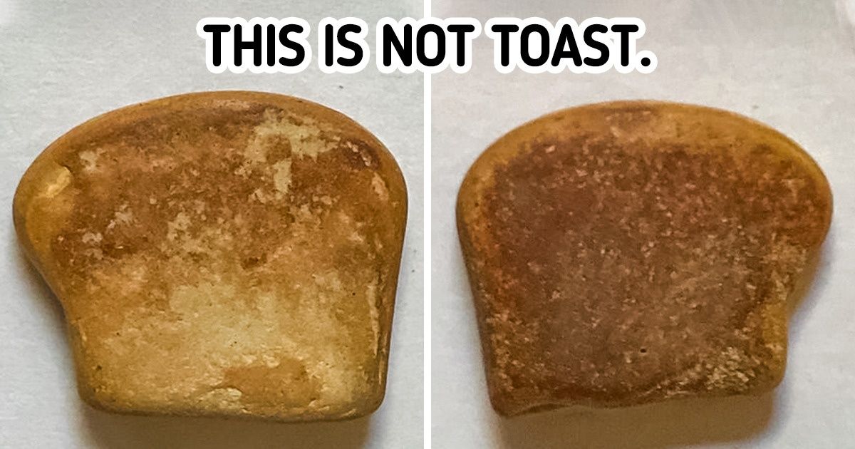 18 Things That Disguised Themselves as Something Else, and We Almost Took the Bait 18 Things That Disguised Themselves as Something Else, and We Almost Took the Bait