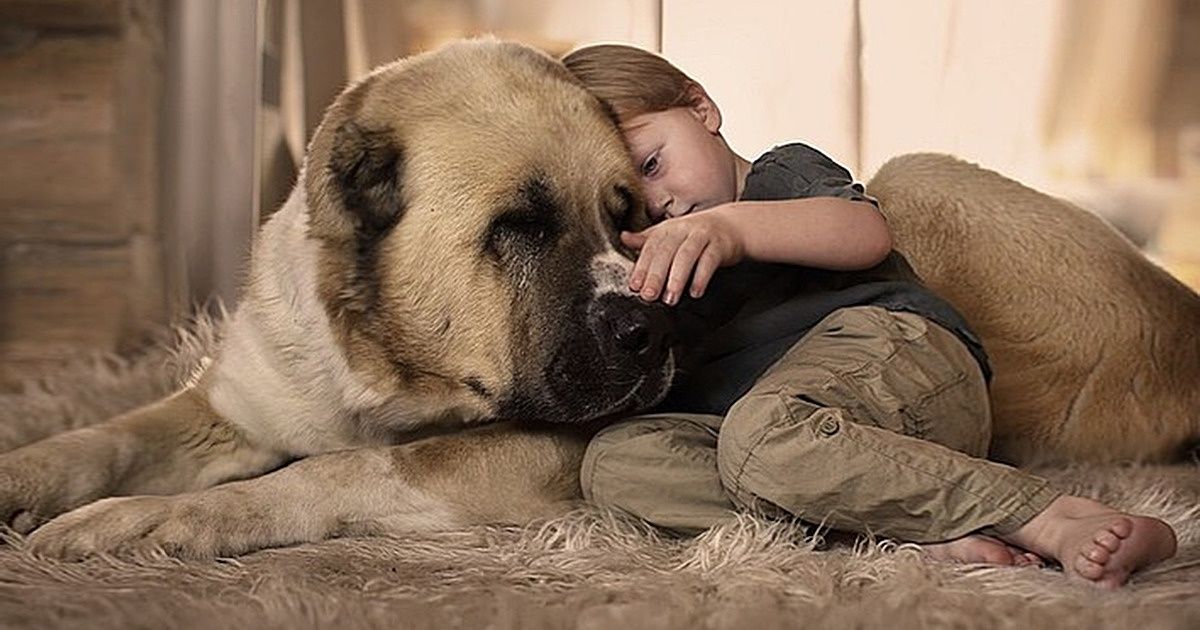 Science Claims People Who Talk to Their Pets Are Way Smarter Than Those ...