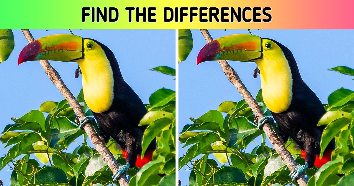 Test: Prove That You Have an Eye for Detail Test: Prove That You Have an Eye for Detail