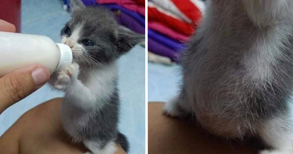 20+ Pics That Can Light Up Our Day Like Magic