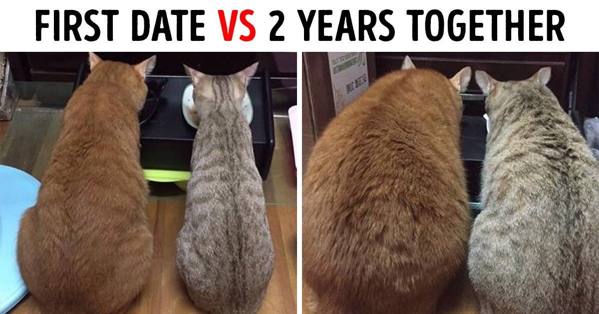 20+ Pics That Describe Relationships Better Than Any Love Song