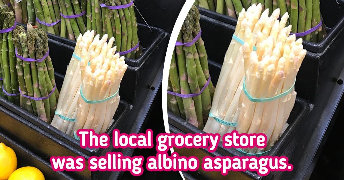 20+ People Who Found Things That Seem to Be From Another World