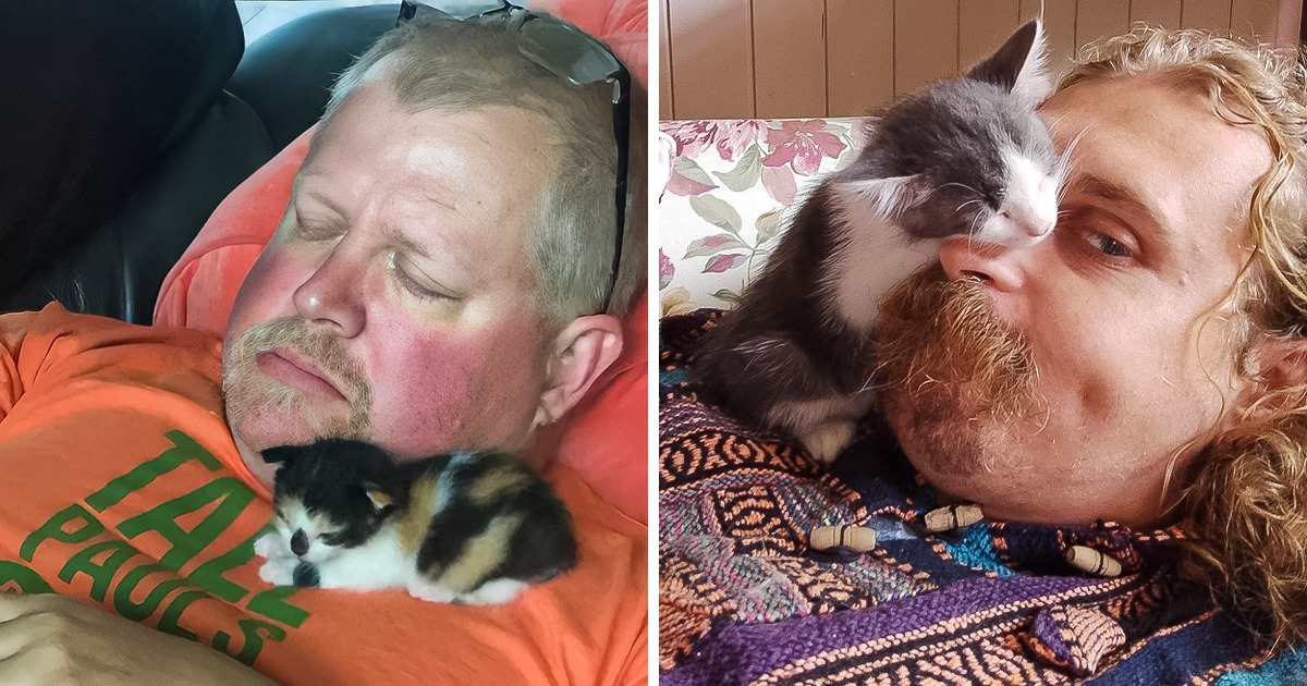 15 People Who Didn’t Want Pets, but Their Soft Hearts Had Other Plans