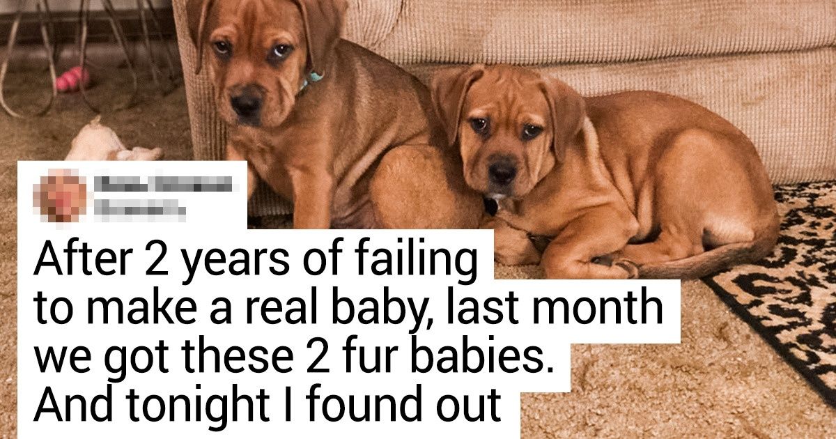16 Powerful Photos That’ll Make Your Heart Beat Faster 16 Powerful Photos That’ll Make Your Heart Beat Faster