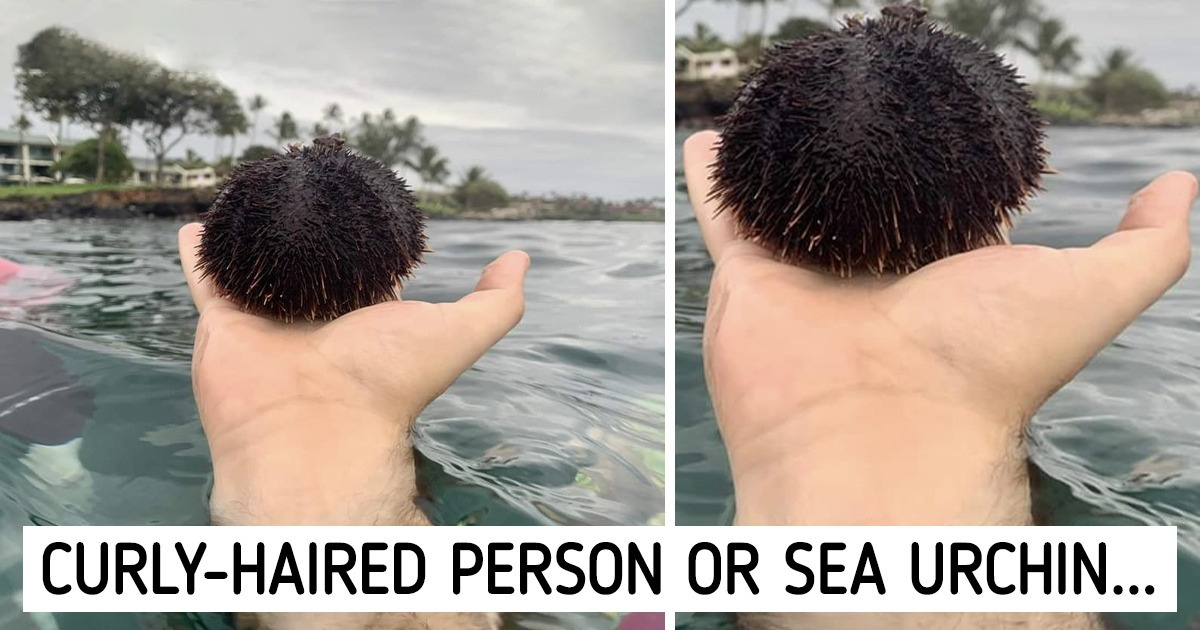 15 Times Our Eyes Deceived Us With Their Vision