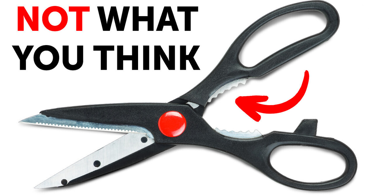 Hidden Purposes of 15 Things You Have